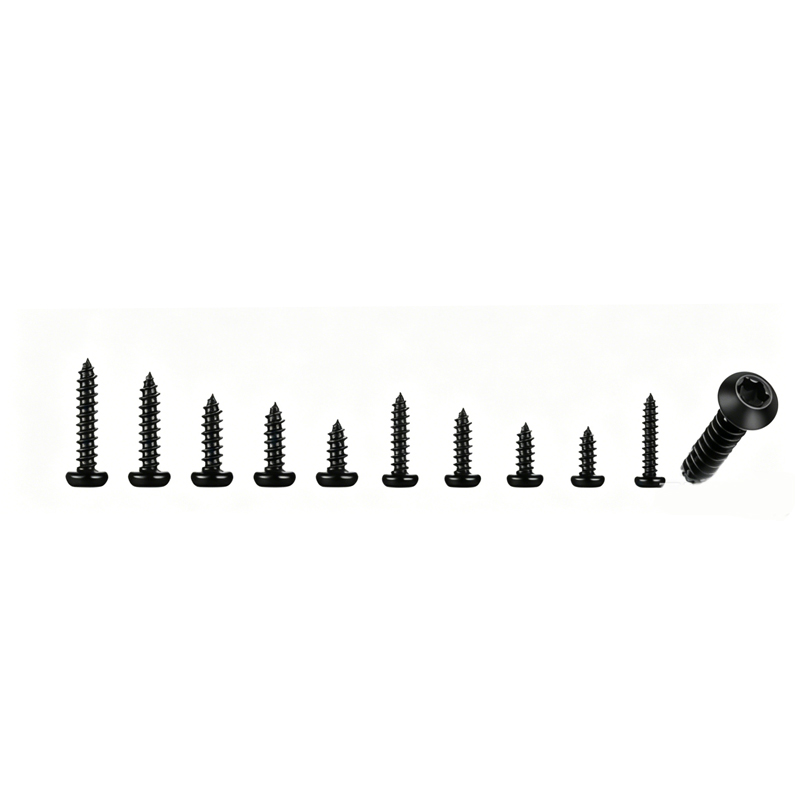 600 Peças Parafusos Autoatarra - Furniture Hardware Fasteners avaliação e preço